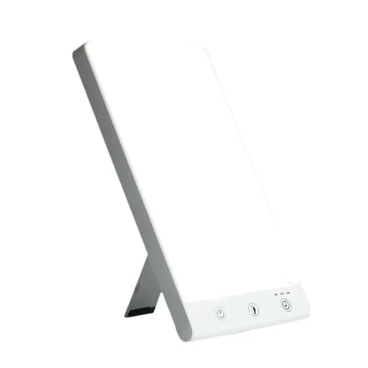 SAD Therapy Light - Biochemical Sun Lamp with Timer